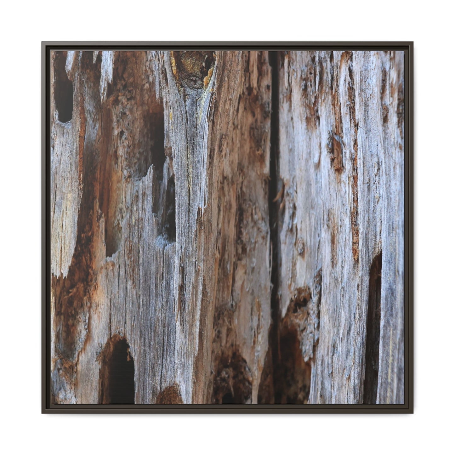 Decaying Splendor - Unique Stretched Canvas Wall Art - Art By Earth