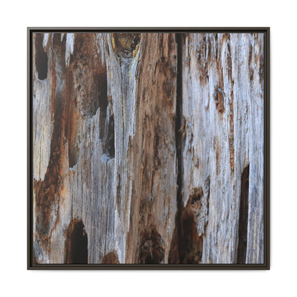 Decaying Splendor - Unique Stretched Canvas Wall Art - Art By Earth