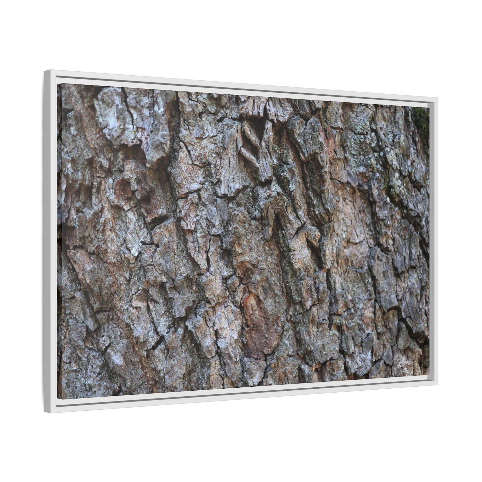 Woodland Skin - Unique Stretched Canvas Wall Art - Art By Earth