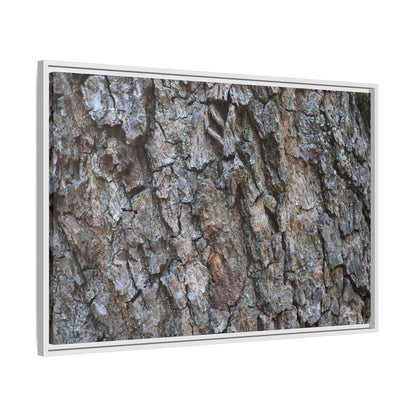 Woodland Skin - Unique Stretched Canvas Wall Art - Art By Earth