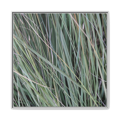Grassland Symphony - Unique Stretched Canvas Wall Art - Art By Earth