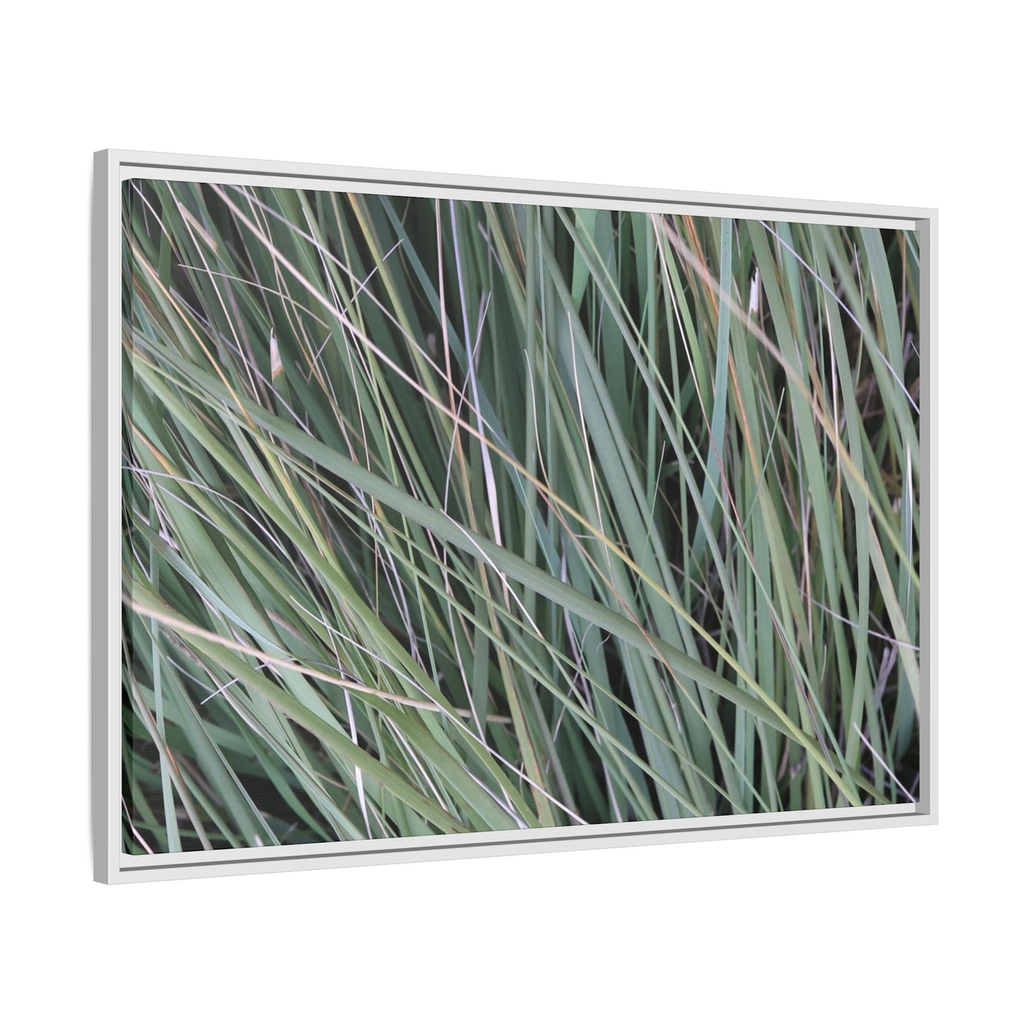 Grassland Symphony - Unique Stretched Canvas Wall Art - Art By Earth