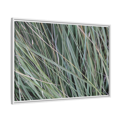 Grassland Symphony - Unique Stretched Canvas Wall Art - Art By Earth