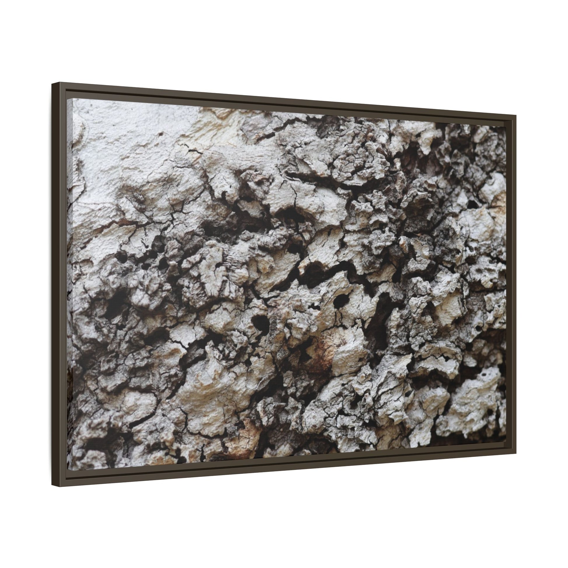 Cracked Terrain - Unique Stretched Canvas Wall Art - Art By Earth