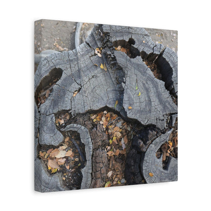 Weathered Woodland Whispers - Unique Frameless Canvas Wall Art - Art By Earth