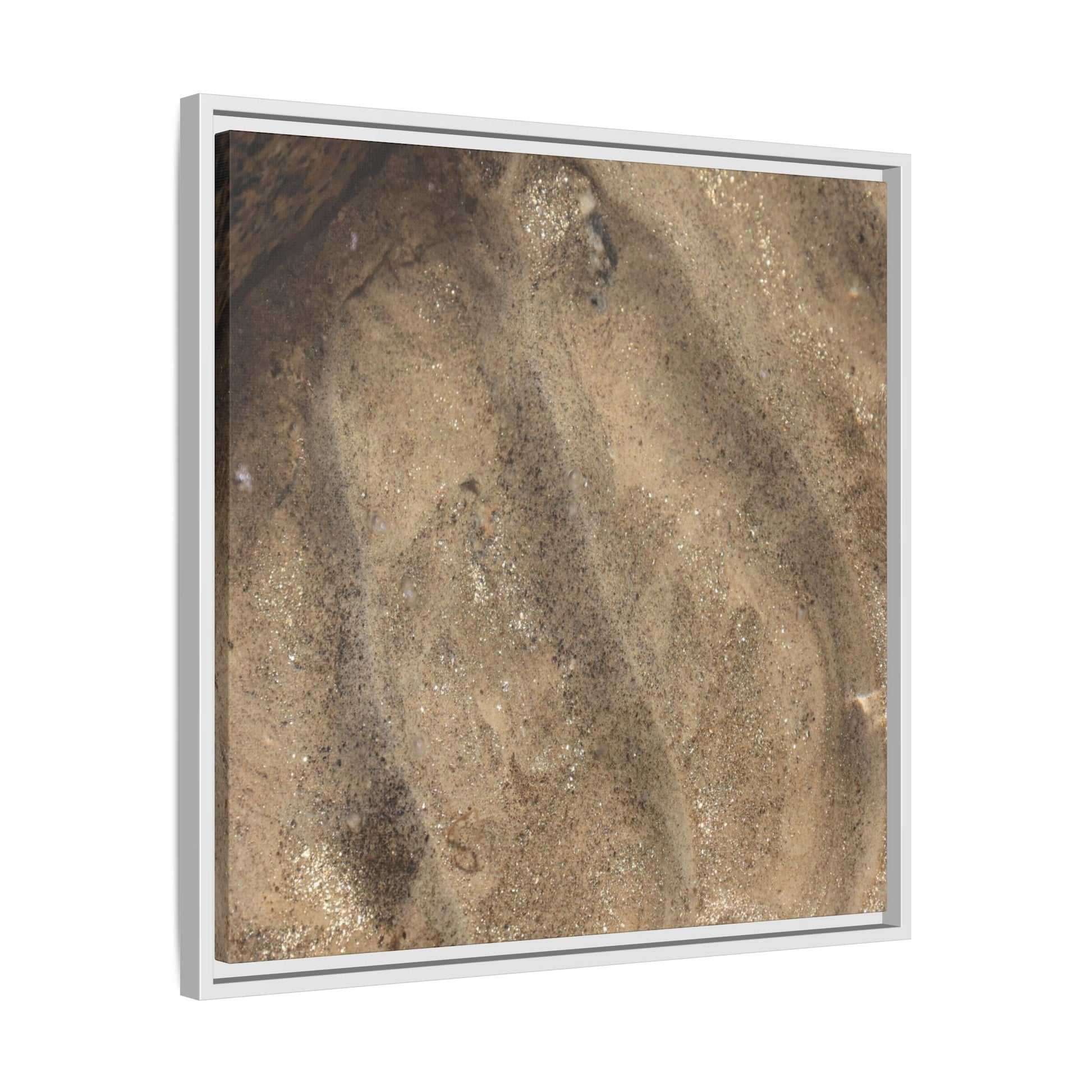 Tidal Pool Secrets - Unique Stretched Canvas Wall Art - Art By Earth