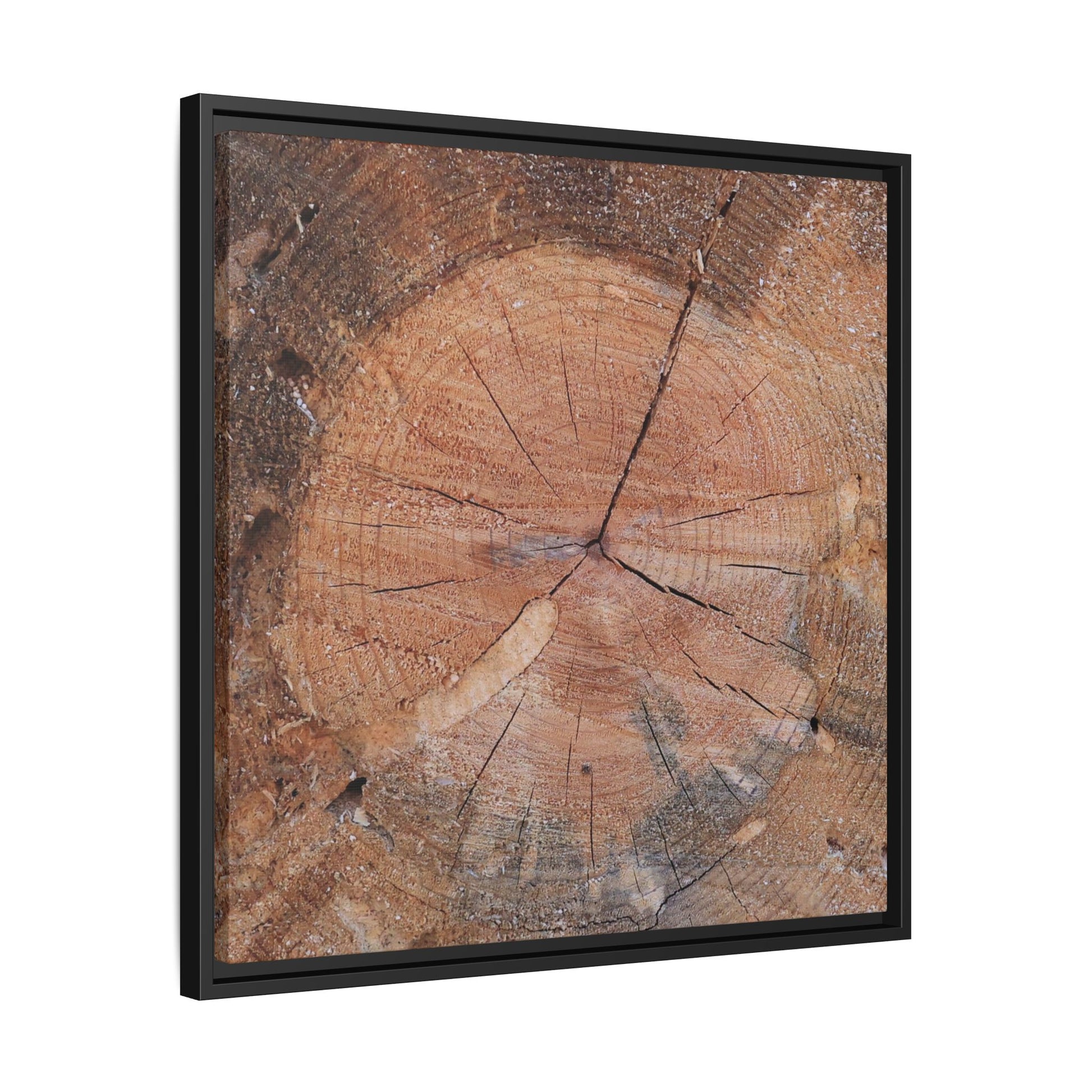 Concentric Memories - Unique Stretched Canvas Wall Art - Art By Earth