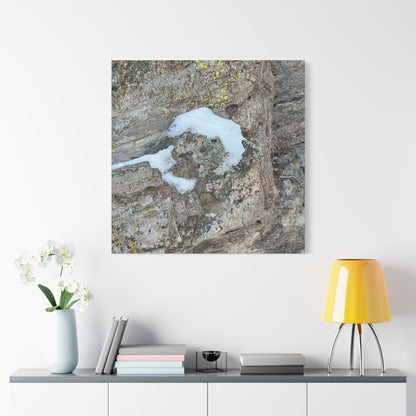 Snow on Stone - Unique Frameless Canvas Wall Art