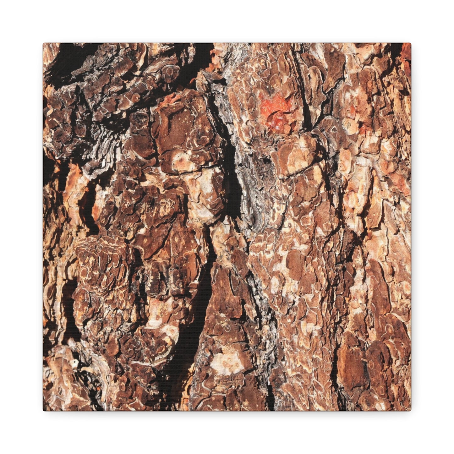 Russet Echoes - Unique Frameless Canvas Wall Art