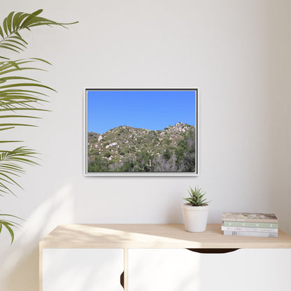 Sparse Vegetation - Unique Stretched Canvas Wall Art