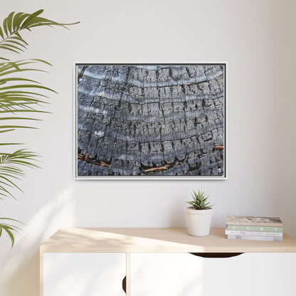 Charred Memories - Unique Stretched Canvas Wall Art - Art By Earth