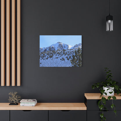 Snowy Peaks and Stoic Pines - Unique Frameless Canvas Wall Art
