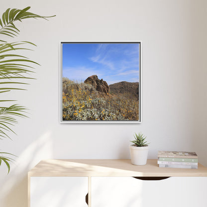 Golden Flowers in Arid Landscape - Unique Stretched Canvas Wall Art - Art By Earth