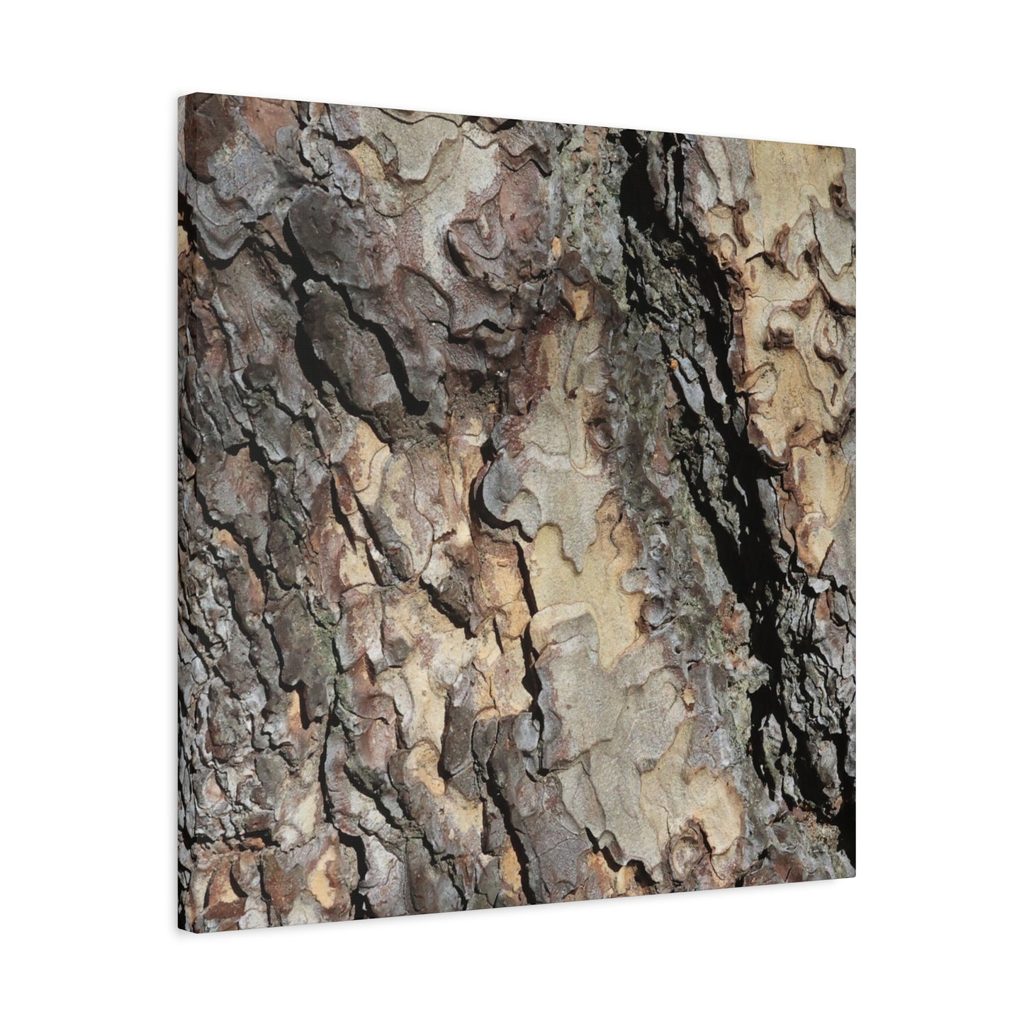 Tree Bark Symphony - Unique Frameless Canvas Wall Art - Art By Earth