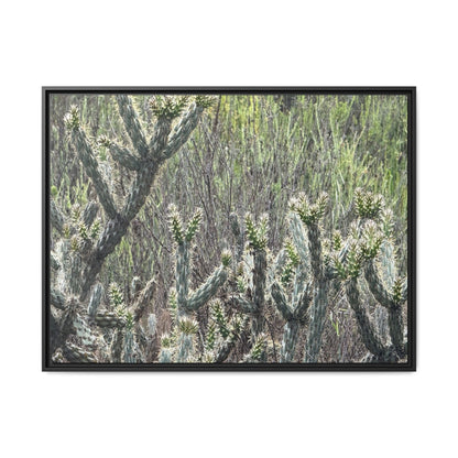 Prickly Paradise - Unique Stretched Canvas Wall Art - Art By Earth
