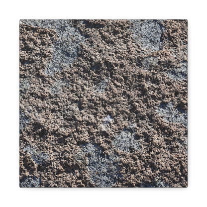 Soil and Stone - Unique Frameless Canvas Wall Art