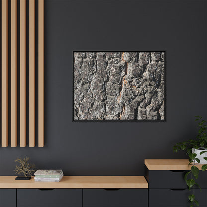 Aged Beauty - Unique Stretched Canvas Wall Art - Art By Earth