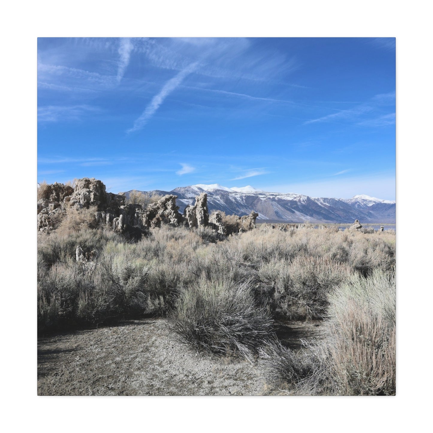 Echoes of Solitude - Unique Frameless Canvas Wall Art